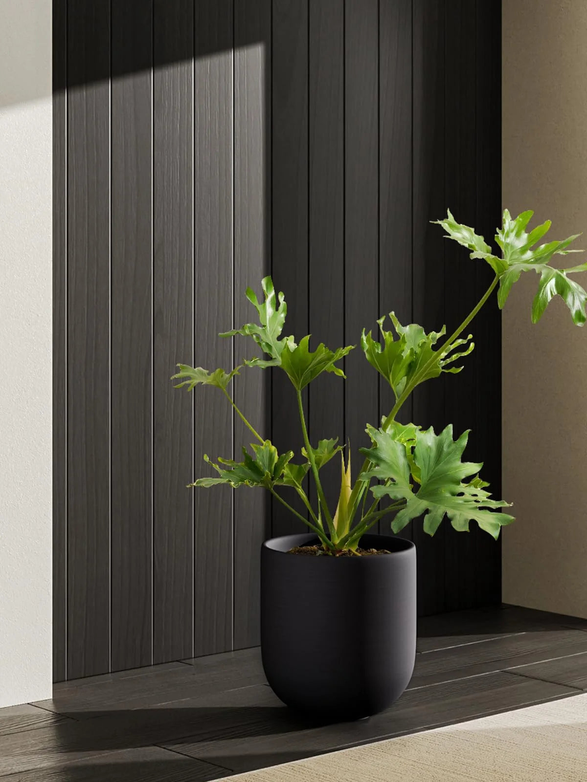 10" Plant Pots, Ceramic Flower Pots with Drainage Hole & Plug, Indoor Planter for Outdoor Decorative,Charcoal Gray